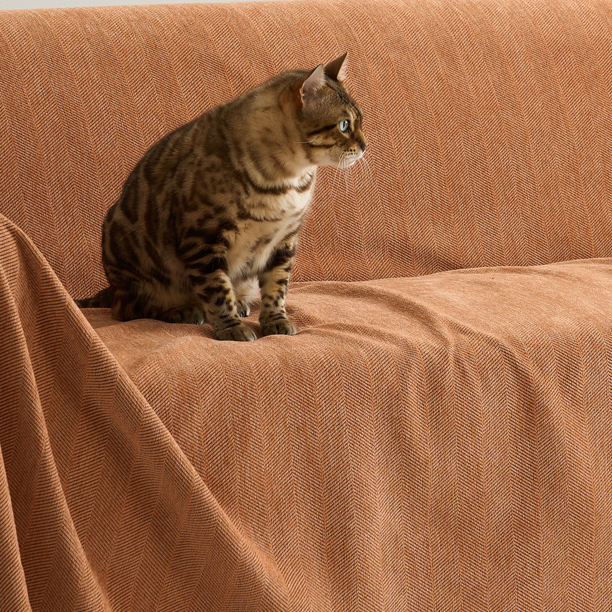 Moderniqa | Pet-friendly herringbone sofa cover
