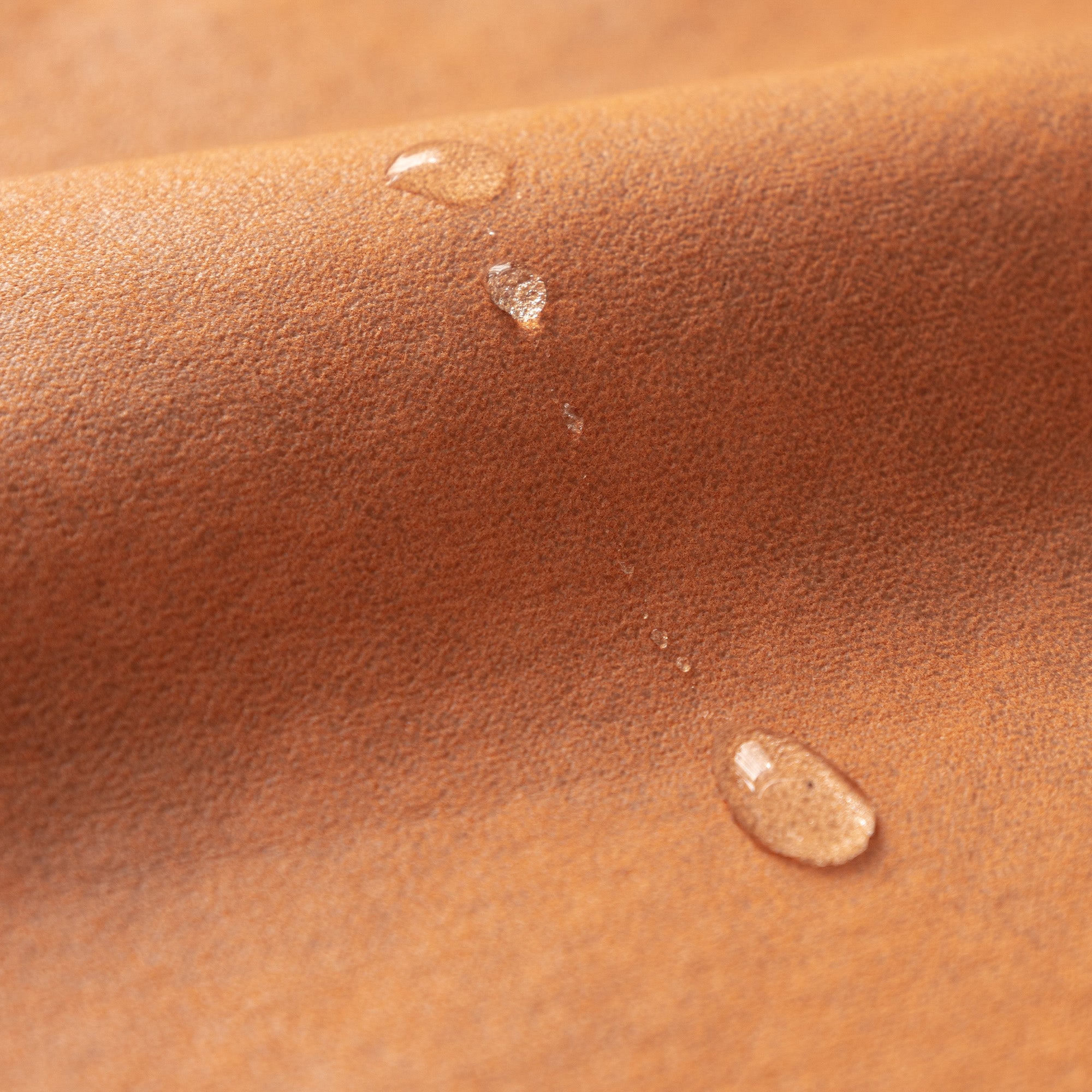 Moderniqa | Waterproof anti-slip sofa cover for pets